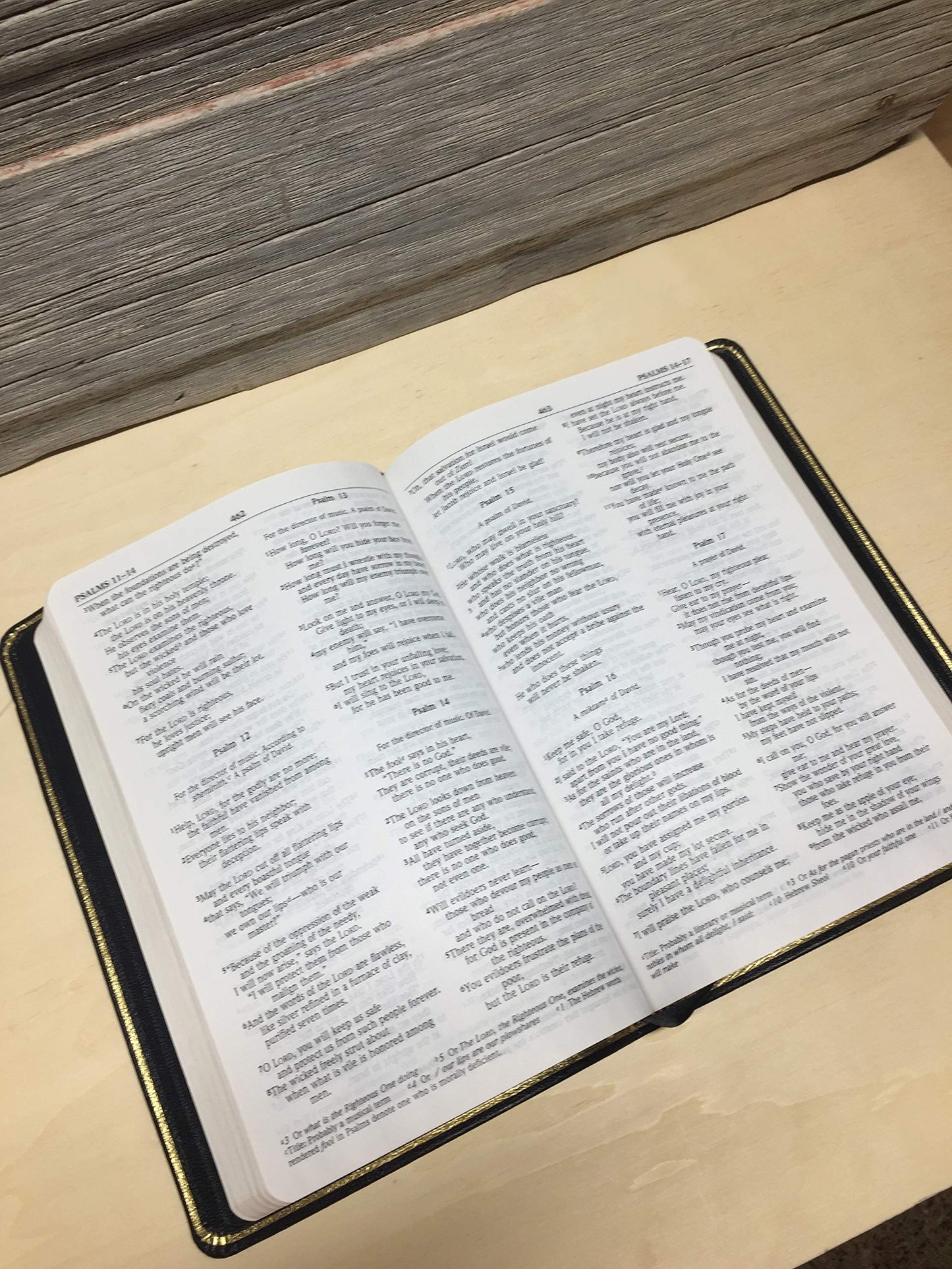 NIV Pastor's Bible