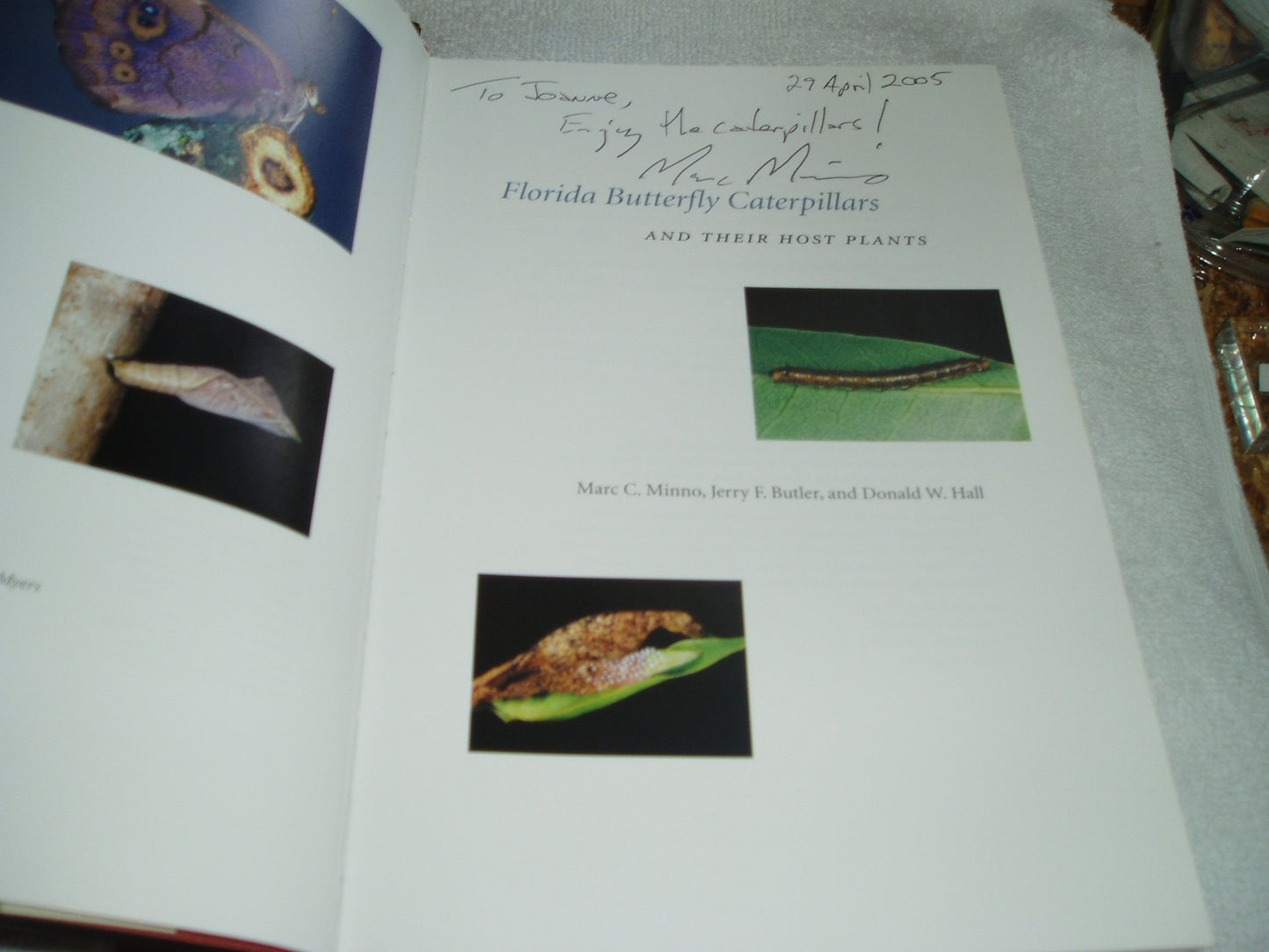 Florida Butterfly Caterpillars and Their Host Plants